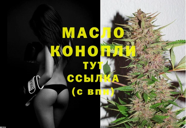 спиды Новодвинск