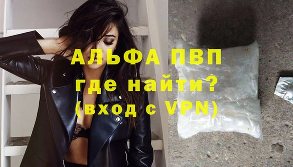 спиды Новодвинск