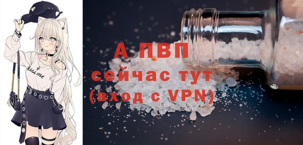 спиды Новодвинск